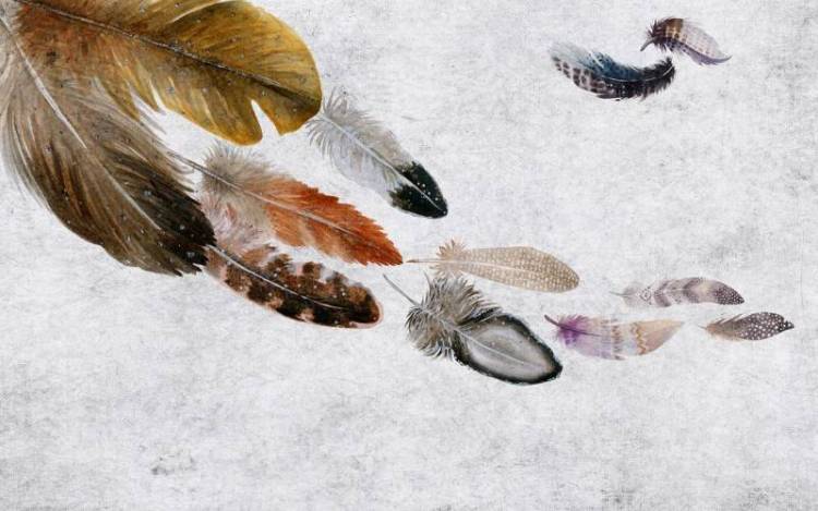 3D Фотообои Artegrafico «Акварельные перья» NV-031 канвас