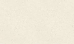 Обои Rasch Graffiti Exclusiv 910476