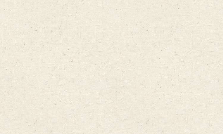 Обои Rasch Graffiti Exclusiv 910476