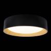 Потолочный светодиодный светильник Loft IT Coin 10202 Black фото 4