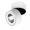 Потолочный светодиодный светильник Lightstar Forte 381363