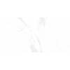 Керамогранит Belleza Glossy Bony Statuario 60x120