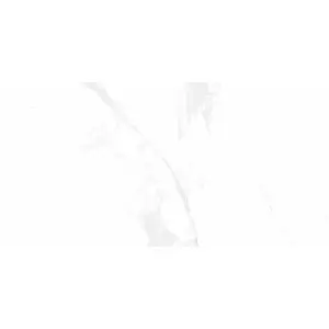 Керамогранит Belleza Glossy Bony Statuario 60x120