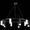 Подвесная люстра Lightstar Rullo LR0203658751 фото 3