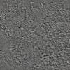 Защитное покрытие для декоративных штукатурок Silk Plaster Topcoat Matte 03-230 1 л фото 2