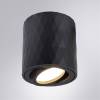 Потолочный светильник Arte Lamp Fang A5559PL-1BK фото 4