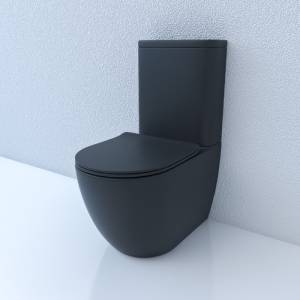 Унитаз-компакт Esbano Fortex-N ESUNFORTBM Черный