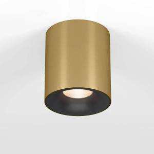 Потолочный светодиодный светильник Elektrostandard Primo 25116/LED 12W 3000K латунь