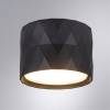Потолочный светильник Arte Lamp Fang A5552PL-1BK фото 3