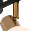 Спот Arte Lamp Falena A3117PL-4BK фото 2