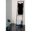 Декоративная лесенка SAPHO SKA для интерьера, стальная, 420x1700x20 мм, черный матовый фото 6