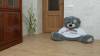 LVT Ламинат Decoria Office Tile 2.5/42 DW 1401 Дуб Тоба 950x184 фото 2