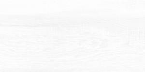 Керамическая плитка AltaCera Briole WT9BRE00 White 24.9x50