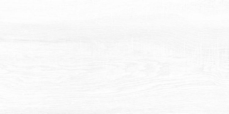 Керамическая плитка AltaCera Briole WT9BRE00 White 24.9x50