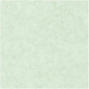 Обои Caselio Beton 101487400