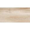 Керамическая плитка New Trend Artwood WT36AOD08 30x60