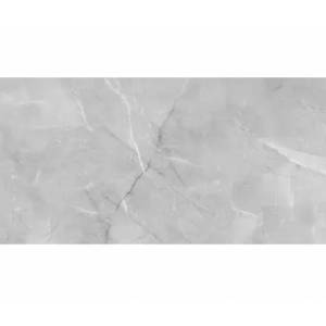 Керамогранит Absolut Gres Armani Silver AB 1142G Gloss 60x120