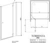 Душевая дверь в нишу Radaway Torrenta DWJ 110 прозрачное стекло R фото 5