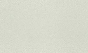 Обои Rasch Trend 975338