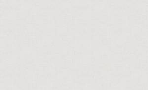 Обои флизелиновые Erismann Amazonika 60465-02