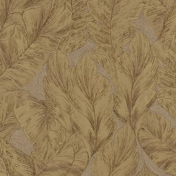 Обои Roberto Cavalli №9 21079