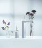 Смеситель для раковины Grohe Eurocube Joy 23661000 фото 3