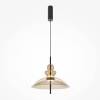 Подвесной светильник Maytoni Bangkok MOD185PL-L12CG3K3 фото 5