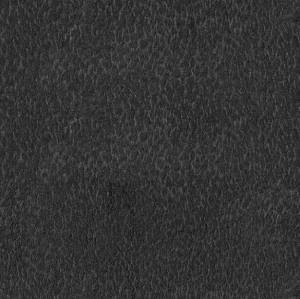 Обои Roberto Cavalli №6 17089