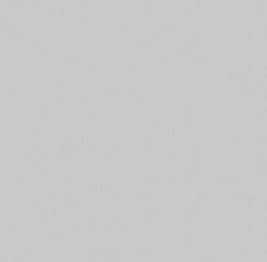 Обои Victoria Stenova Module 585727