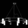 Подвесная люстра Lightstar Rullo LR0203758650 фото 3