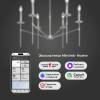 Люстра на штанге Eurosvet Anders 60142/6 хром Smart фото 4