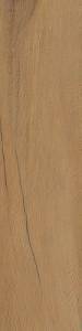 Керамогранит Serenissima CIR I Lecci Oliato Ret 20x120