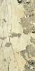 Керамогранит Italon Этернум 610010002781 Volcano Ret 80x160 фото 3