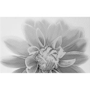 Декор Шахтинская плитка Камелия 10301001886 Черн 03 25x40