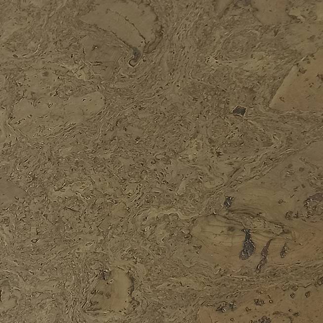 Пробковое покрытие EasyCork Леон чай Замковое 910x300x10