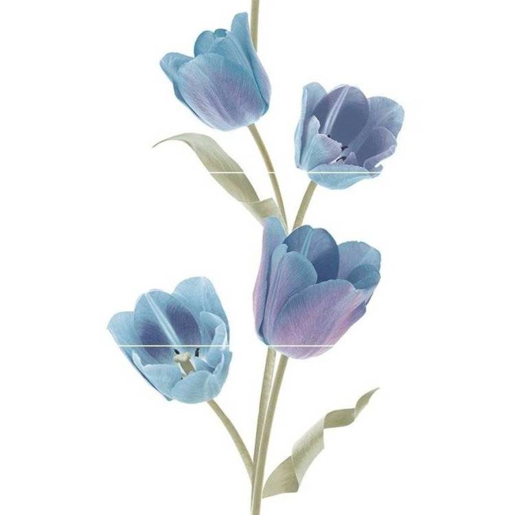 Панно Keros Ceramica Varna Tulips Frios 50x75