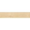 Керамогранит Emotion Ceramics Hardy Haya 23.3x120