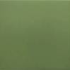 Керамогранит Equipe Rivoli 30716 Green 20x20
