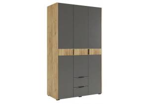 Шкаф Woodville Адам 576855 дуб крафт золотой, графит