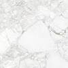 Керамогранит Absolut Gres Rossalia Natural AB1208G Gloss 600x600 фото 3