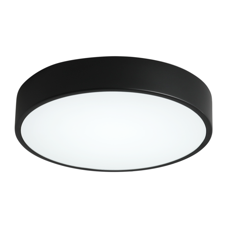 Потолочный светильник Zortes Tortty ZRS.02563.36