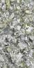 Керамогранит Ariostea Ultra Marmi UM6L157675 Luxury White Lucidato Shiny 6mm 150x75 фото 4
