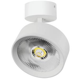Накладной светодиодный спот Lightstar Alta Pro A5746SO