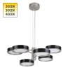 Подвесная светодиодная люстра Odeon Light Exclusive Rivera 5451/99LB