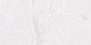 Керамогранит Fanal Planet SLARGC417594 White Metal Shine 60x120