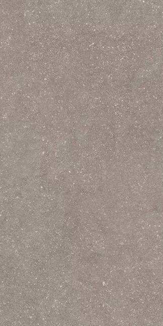 Керамогранит Casalgrande Padana Stile 14460023 French Grey Nat 60x120