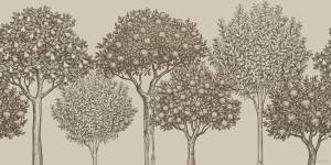 Бесшовные Eco обои Ortograf Fancy 35068 История летнего сада Кристалл OE-S