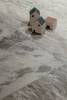 Керамогранит Sant Agostino Metastone CSAMETSU30 Sunset Nat Rect 30x60 фото 9
