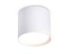 Накладной точечный светильник Ambrella light TN5350