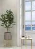Керамическая плитка Sina Tile Elize 1210 White 30x90 фото 3